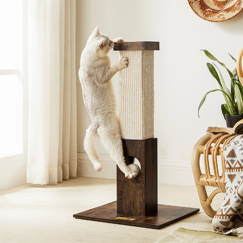 Cat Scratching Post for Sale