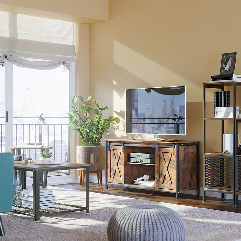 Barn Door TV Cabinet